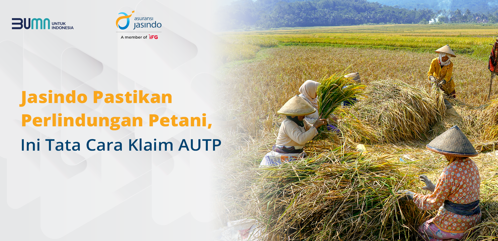 Jasindo Pastikan Perlindungan Petani, Ini Tata Cara Klaim AUTP